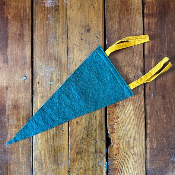 Vintage Howe Caverns Felt Pennant - Picture 6 of 7